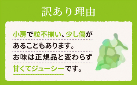 【数量限定】 【訳あり】 【糖度18以上！】シャインマスカット「西海シャイン物語」約2kg（5～6房）＜最強の兼業農家山田さん＞ [CCX006]