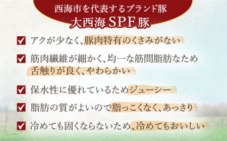 【肉塊で肉会】大西海SPF豚 背ロースブロック 計1.3kg（2～3個） 訳あり ＜大西海ファーム＞ [CCY027] 豚肉