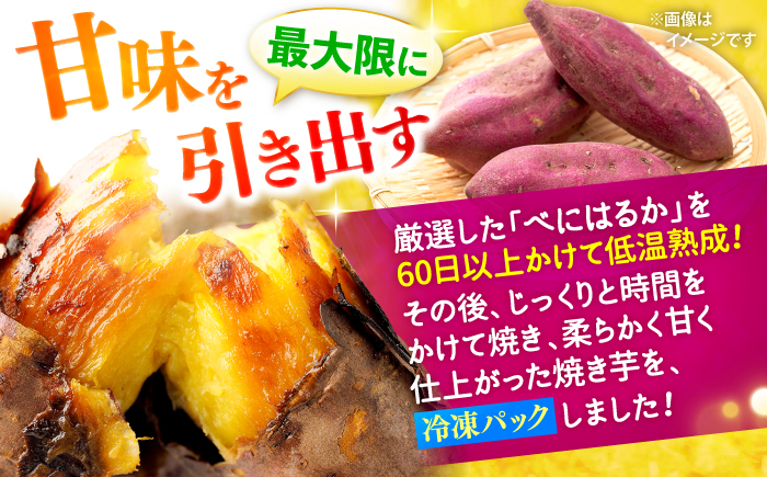 【ねっとりとろける美味しさ】熟成 紅はるか 焼き芋 約4kg（500g×8パック） ＜大地のいのち＞ [CDA013] さつまいも