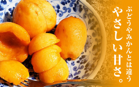 【数量限定】 西海市産 びわ （長崎早生） 約1.5kg ＜谷添正義＞ [CDM003]