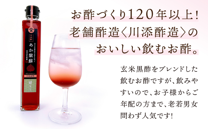 【6回定期便】 【飲む玄米酢】酢らり 6種セット（5種＋ポン酢）＜川添酢造＞ [CDN134]
