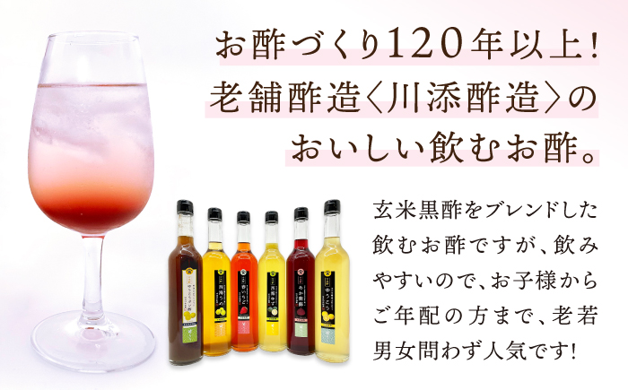 【12回定期便】 【飲む玄米酢】酢らり 大瓶6種セット（5種＋ポン酢）＜川添酢造＞ [CDN143]