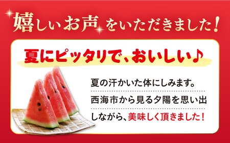 【先行予約：2026年7月上旬より配送】 スイカ 羅王 2玉（約12kg～16kg）＜ファームまるだ＞ [CDT006] 長崎 西海 スイカ すいか 羅王 大玉 贈答 ギフト