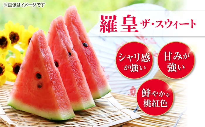 【先行予約：2026年7月上旬より配送】【食べ比べ】 金色羅皇＆羅皇ザ・スウィート（計2玉） ＜ファームまるだ＞ [CDT008]