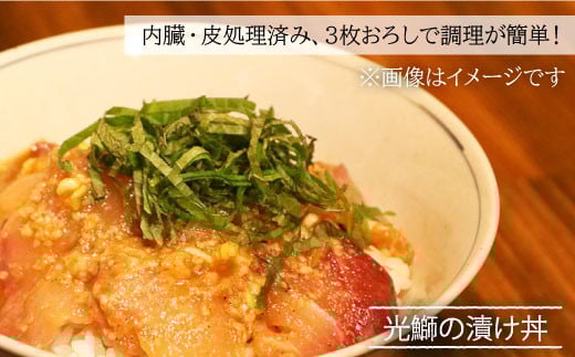 ※配達日時指定必須※【呼子ノ瀬戸名物】養殖ブリ「光鰤」1本（刺身用）3.8～4.0kg＜小山水産＞ [CDZ002]