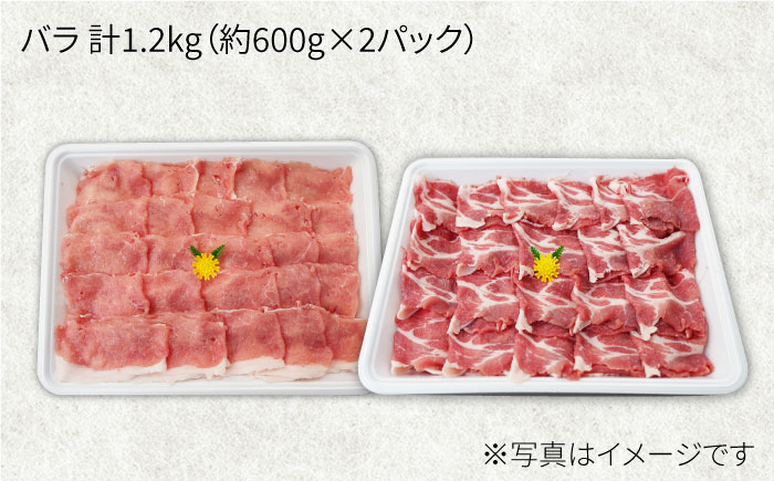 大西海SPF豚 バラ（焼肉＆しゃぶしゃぶ用）計1.2kg（約600g×2パック） 訳あり ＜大西海ファーム＞ [CEK033] 豚肉