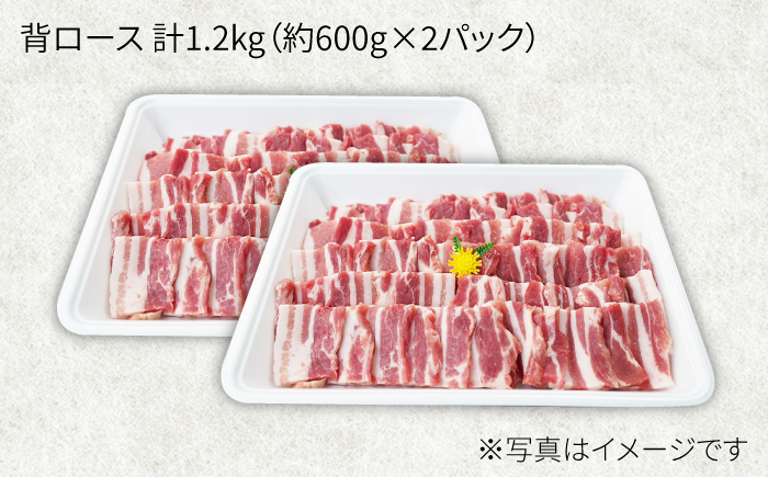 大西海SPF豚 背ロース（焼肉用）計1.2kg（約600g×2パック） 訳あり ＜大西海ファーム＞ [CEK038] 豚肉