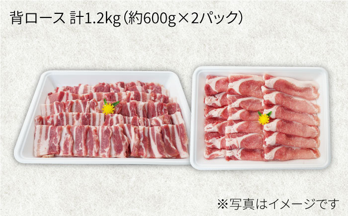 大西海SPF豚 背ロース（焼肉＆しゃぶしゃぶ用）計1.2kg（約600g×2パック） 訳あり ＜大西海ファーム＞ [CEK039] 豚肉
