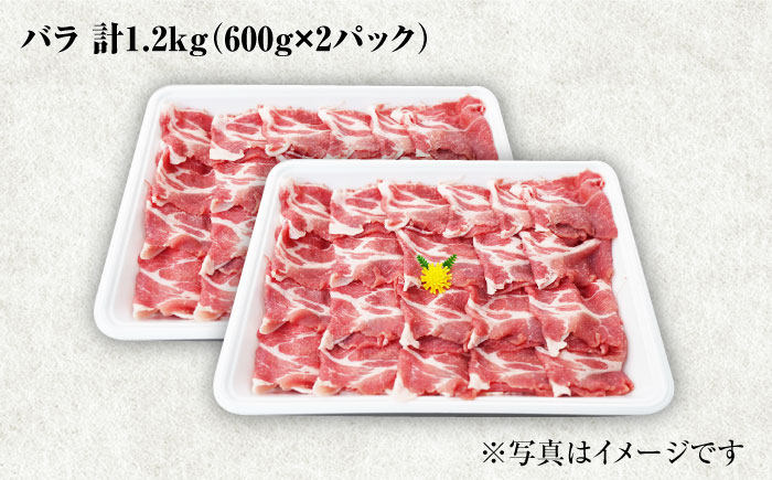 【6回定期便】大西海SPF豚 バラ（焼肉用）計1.2kg 訳あり ＜大西海ファーム [CEK083] 豚肉