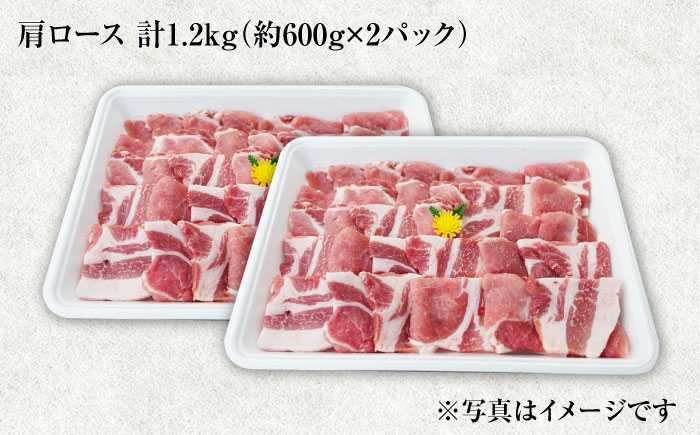 【6回定期便】大西海SPF豚 肩ロース（焼肉用）計1.2kg 訳あり ＜大西海ファーム＞ [CEK091] 豚肉