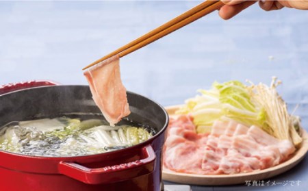 【12回定期便】大西海SPF豚 背ロース しょうが焼き用＆しゃぶしゃぶ用 計1.2kg 訳あり ＜大西海ファーム＞ [CEK101] 豚肉