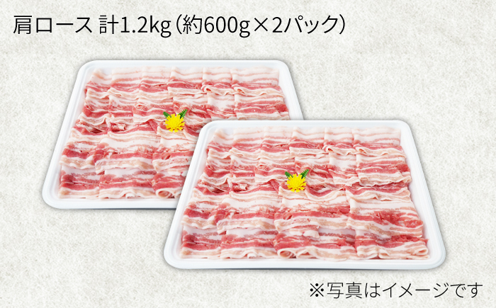 【12回定期便】大西海SPF豚 肩ロース（しゃぶしゃぶ用）計1.2kg 訳あり ＜大西海ファーム＞ [CEK126] 豚肉
