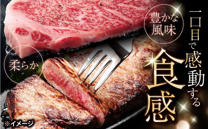 【12回定期便】長崎和牛 サーロイン ステーキ 計500g（2枚） 訳あり ＜大西海ファーム食肉加工センター＞ [CEK181]