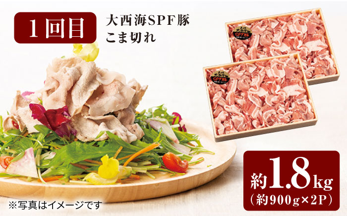 【スタメン揃い！】【6回定期便】 長崎和牛 大西海SPF豚 6種 定期便 訳あり ＜大西海ファーム＞ [CEK185] 豚肉