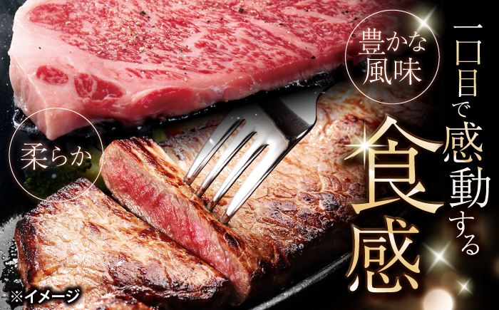 長崎和牛 サーロイン ステーキ 計600g（3枚）＜大西海ファーム食肉加工センター＞ [CEK191]