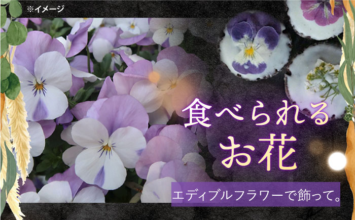 【贈答におすすめ♪】お花の クッキー アソート1ケース（10個入り）＜自然と暮らす　ぐりーん＞ [CEM008] スイーツ お菓子
