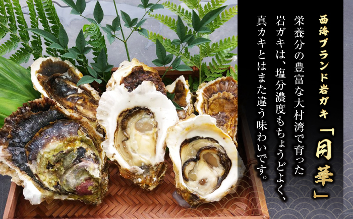 【数量限定】大粒！岩ガキ約2kg（約13個～20個）＜ハマフジ水産＞ [CES001] 海産物 魚介類