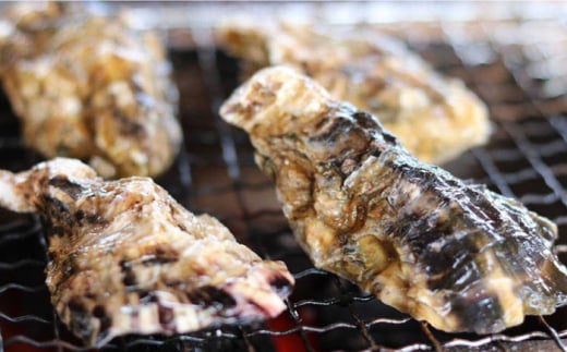 【数量限定】西海ブランド牡蠣 「ハマボウ」 約3kg（40～50個）（中～大サイズ）＜ハマフジ水産＞ [CES002]