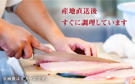 【数量限定】【おうちで手軽に♪】海鮮詰め合わせ3種類～4人前～＜小安丸＞ [CEU002]