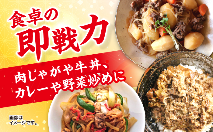 【小分けで使いやすい】九州産黒毛和牛 切り落とし 約1kg（約500g×2パック） ＜宮本畜産＞ [CFA001] 長崎 西海 和牛 牛肉 スライス 便利