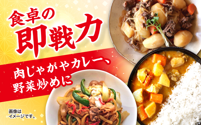 【3回定期便】【使い勝手抜群】 国産豚 切り落とし 計3kg（約1kg×3回） ＜宮本畜産＞ [CFA011]