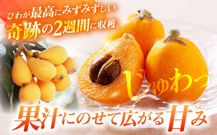 【先行予約】西海市産 びわ 約1kg（L～2Lサイズ）＜パッパラパー農園＞ [CFI002]