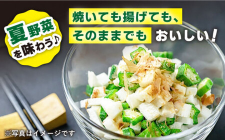 【先行予約】朝採れ オクラ 約2kg＜パッパラパー農園＞ [CFI004]