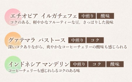 飲み比べ】【6回定期便】ドリップバック 自家焙煎コーヒー 100袋（5