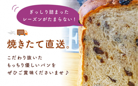 【こだわりたっぷり】レーズンブレッド 2本 朝のお供に ＜MAHALO＞ [CFL003]