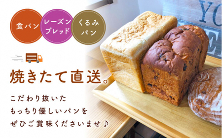 【最上級の小麦粉使用】 【3回定期便】 パン詰め合わせ 3種 朝のお供に ＜MAHALO＞ [CFL026]