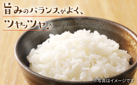 【数量限定】【 令和5年産 新米 】ヒノヒカリ約5kg ＜村山金定＞ [CFP003]