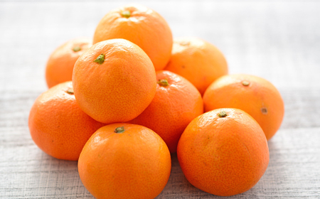 【高島屋選定品】【九州屋】【先行予約】原口 みかん 1.8kg（S～Lサイズ）限定数100 ＜高島屋＞ [CFQ054]