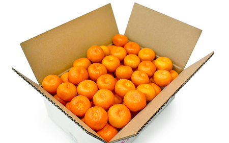 【高島屋選定品】【九州屋】【先行予約】味ロマン3kg（S～Mサイズ）＜高島屋＞ [CFQ056] みかん