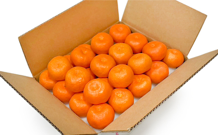 【高島屋選定品】【九州屋】【先行予約】味ロマン3kg（L～２Lサイズ）＜高島屋＞ [CFQ057] みかん