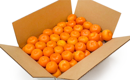 【高島屋選定品】【九州屋】【先行予約】味ロマン5kg（L～２Lサイズ）＜高島屋＞ [CFQ059] みかん