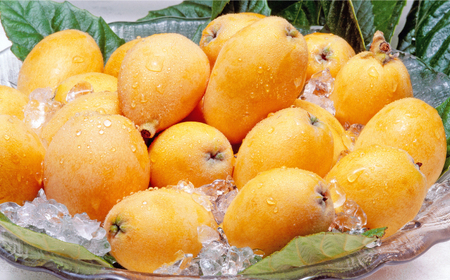 【高島屋選定品】【先行予約】九州屋 茂木 びわ 400g（ Lサイズ 12粒入）＜高島屋＞ [CFQ060]