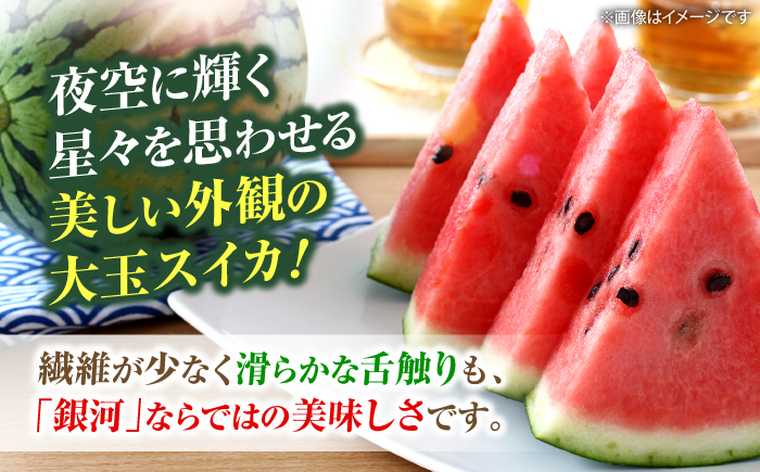すいか 【先行予約：2026年7月中旬より配送】  銀河2玉 （1玉当たり6〜8kg）＜武藤農園＞ [CFV008] 甘い 大玉 スイカ 旬 ギフト プレゼント 果物 夏 フルーツ 夏 スイカ すいか 先行予約 2026年 長崎県 西海市