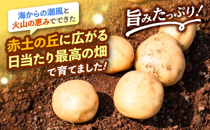 勝田農園の満々じゃがいも にしゆたか 約10kg（M～Lサイズ混合）＜勝田農園＞ [CGM002]