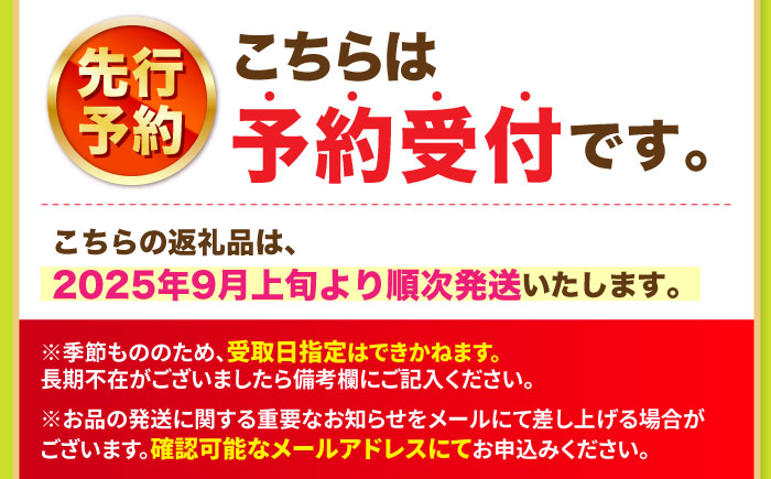 【2025年9月発送】 シャインマスカット 約1.5kg（2房）大粒 皮ごと 種なし＜濱崎農園＞ [CGN005]