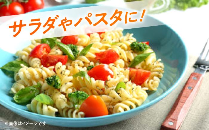 【11月上旬より順次発送】 ミニ トマト 計1kg（小分け6パック）＜ファゼンダ坂本＞ [CGP001]