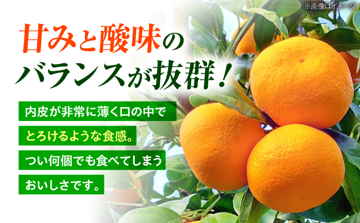 【11月中旬より配送開始】 山本早生 みかん 約5kg（S,Mサイズ混合）＜濱崎ファーム＞ [CGT001]