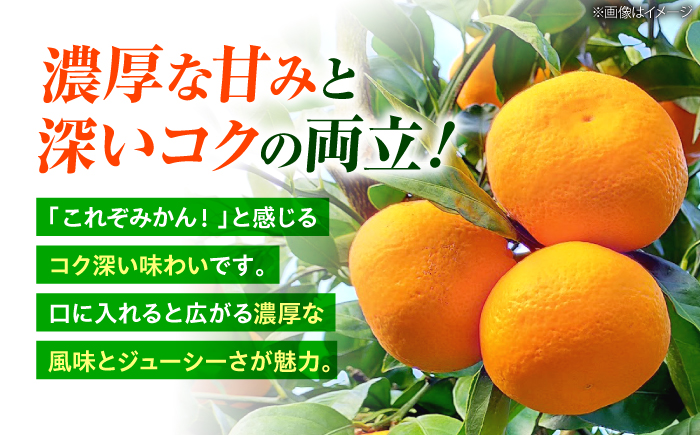 【11月中旬より配送開始】 原口みかん 約5kg （S,Mサイズ混合）＜濱崎ファーム＞ [CGT002]