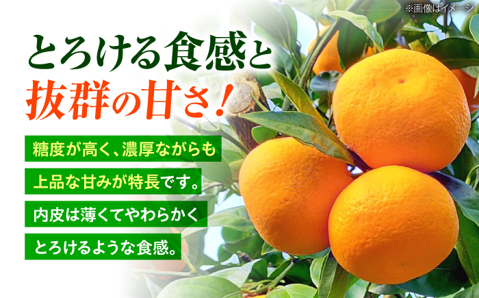 【12月中旬より配送開始】 石地みかん 約5kg （S,Mサイズ混合）＜濱崎ファーム＞ [CGT003]