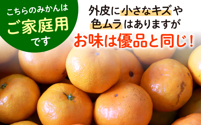 【ご家庭用】長崎味ロマン みかん 約5kg＜長崎西彼農業協同組合＞