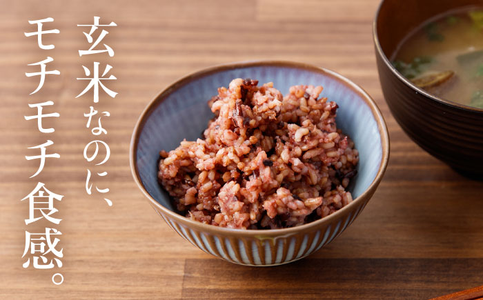 【2026年2月より順次発送】【農家のこだわり米】黄金の発芽玄米 黒米入り パックご飯 125g×14食＜AgriBaseさいかい＞[CGV002]