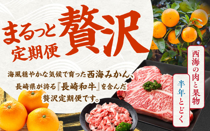 【1月より発送開始】【6回定期便】 お肉 と 果物 ～見つけた！ 西海 の 宝物 定期便 ～ [CZZ018]   長崎県 西海市 長崎和牛 サーロイン さーろいん ステーキ SPF豚 ブランド豚 こま切れ みかん ミカン 不知火 人気 定期便