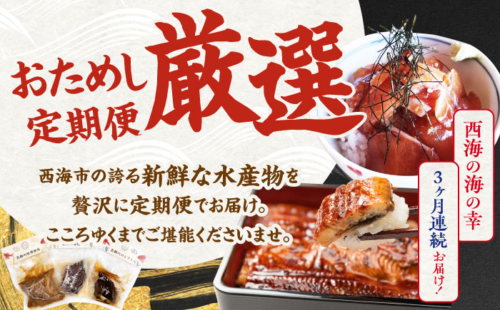 【3回定期便】海の幸～見つけた！西海の宝物定期便～ [CZZ026]  長崎 西海 魚 海の幸 海鮮 加工品 うなぎ 海鮮丼 贈答 ギフト