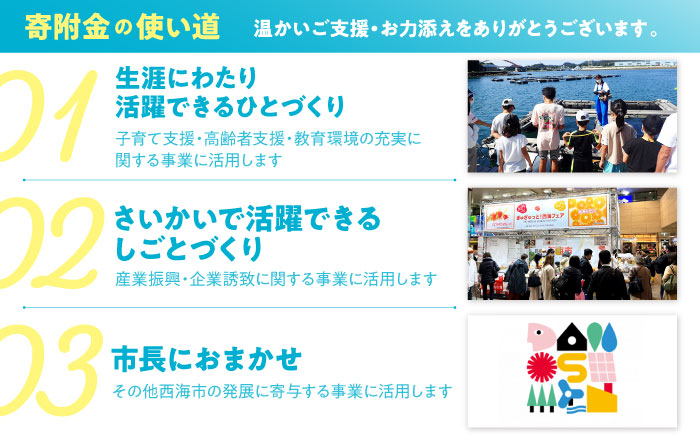 【返礼品なし】 長崎県 西海市 ふるさと応援寄附金（100万円分） [CZZ032]