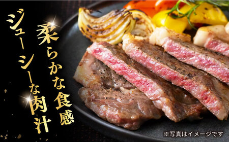 【訳あり】【6回定期便】長崎和牛ロースステーキ（ハーフカット）計500g（4枚）×6回定期便＜スーパーウエスト＞ [CAG206]