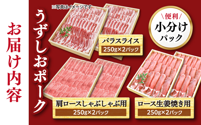 長崎うずしおポーク 大人気3種 セット 国産豚 ＜スーパーウエスト＞ [CAG218]